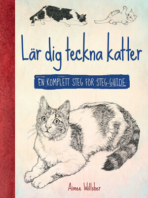 cover image of Lär dig teckna katter